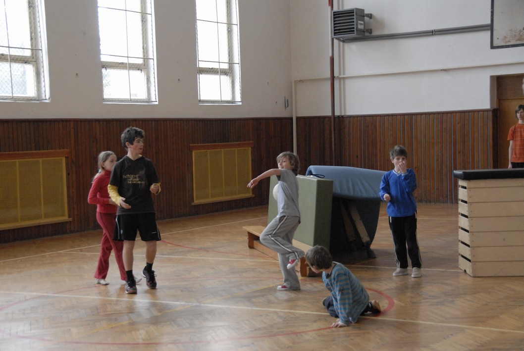 015 Expedice GEMINI 2010